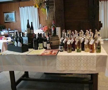 & Restaurant Gran Paradiso ホテル 3*