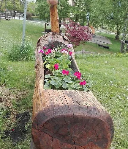 فندق Gran Paradiso 3*